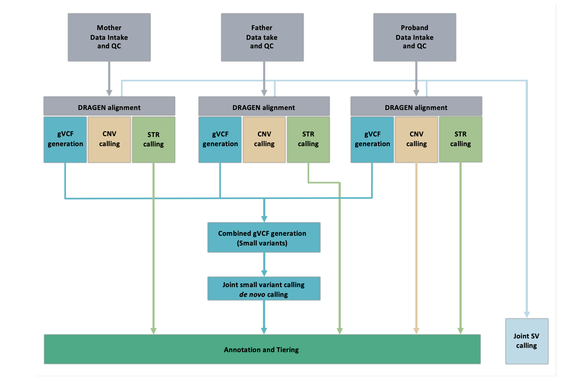 A summary of the bioinformatics analytical pipeline for alignment, variant calling and tiering