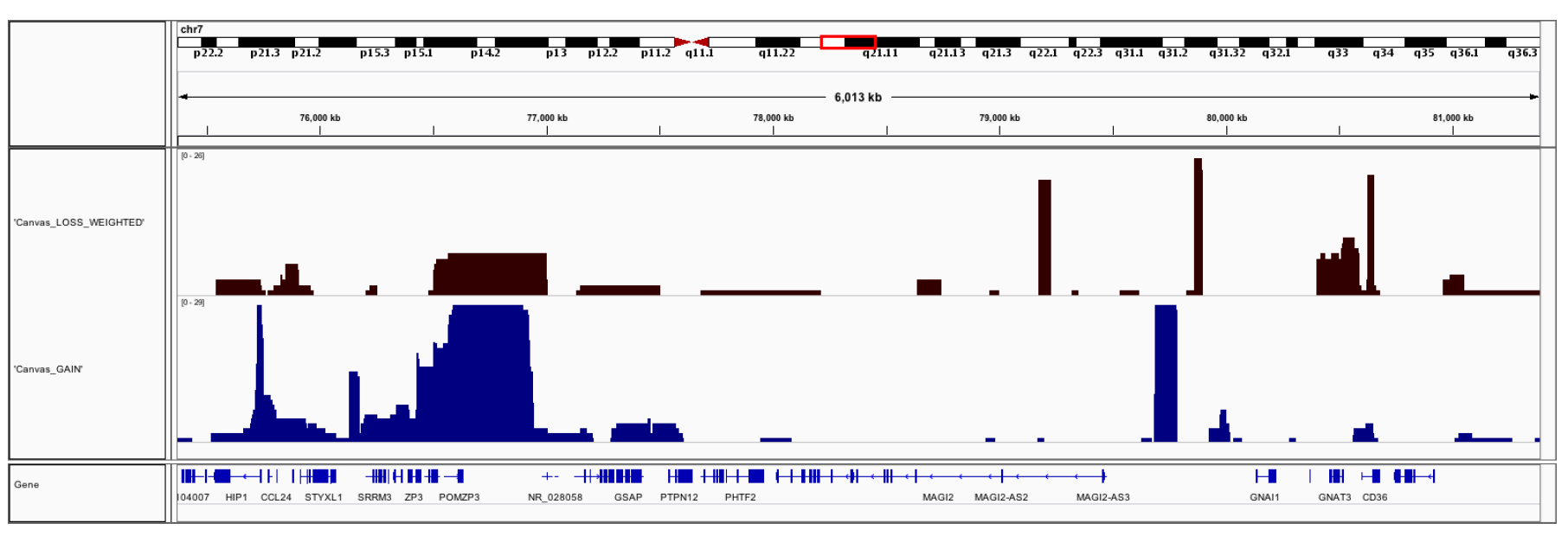 Example CNV frequency track