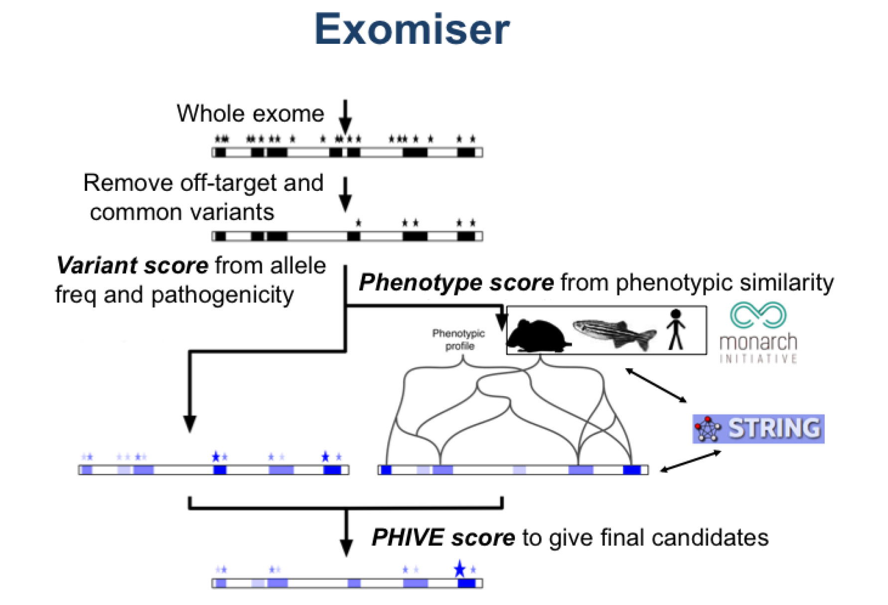 Exomiser